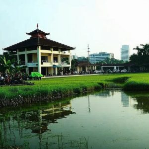 DPR Ramal Pertumbuhan Ekonomi Triwulan II Capai 5,2%